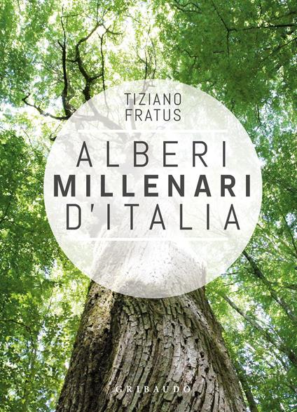 Alberi millenari d'Italia. Un viaggio fra i boschi nascosti. Ediz. illustrata - Tiziano Fratus - copertina