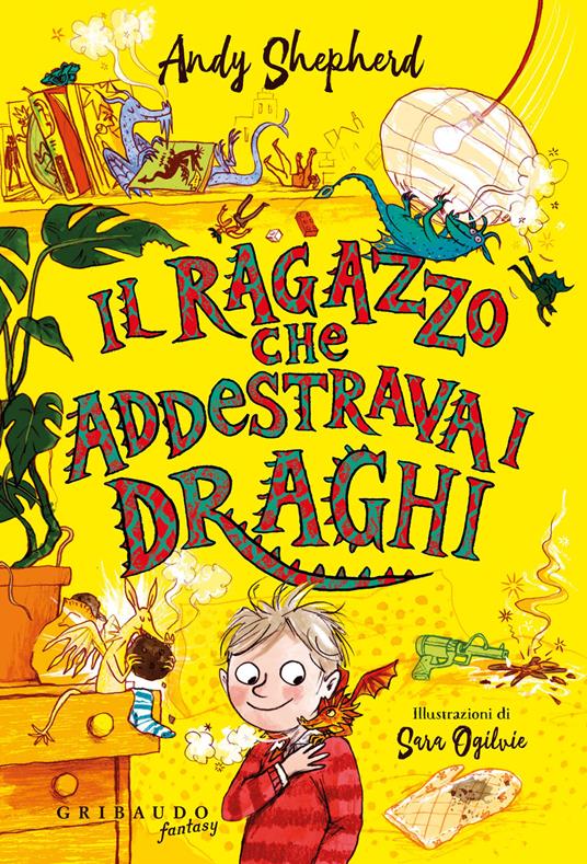 Il ragazzo che addestrava i draghi - Andy Shepherd - copertina