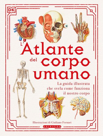 L' atlante del corpo umano - copertina