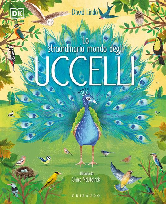 Lo straordinario mondo degli uccelli. Ediz. a colori - David Lindo - copertina