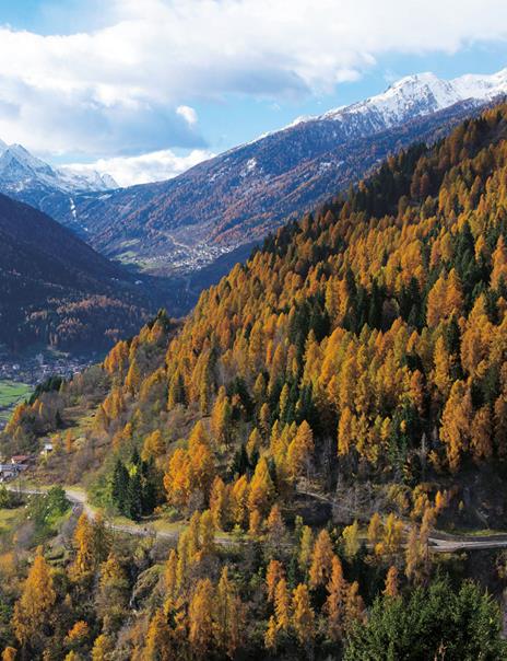 Un po’ più su. La mia cucina di montagna (per tutte le stagioni) - Davide Zambelli - 8