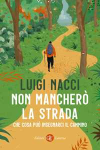 Libro Non mancherò la strada. Che cosa può insegnarci il cammino Luigi Nacci