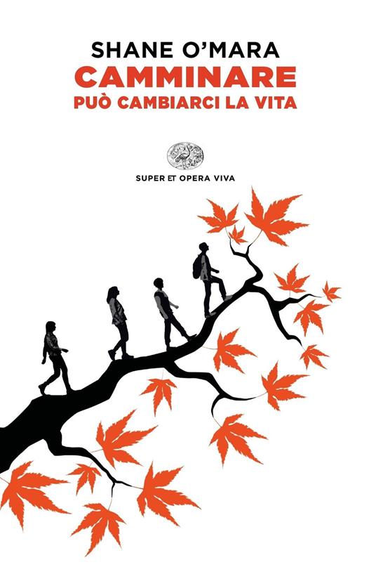 Camminare può cambiarci la vita - Shane O'Mara,Elisabetta Spediacci - ebook