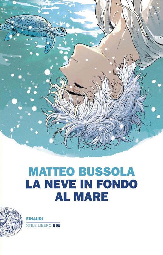 La neve in fondo al mare - Matteo Bussola - ebook