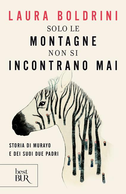 Solo le montagne non si incontrano mai - Laura Boldrini - ebook