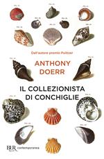 Il collezionista di conchiglie