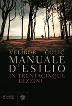 Manuale d'esilio