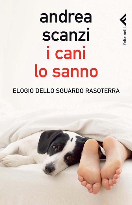 I cani lo sanno. Elogio dello sguardo rasoterra - Andrea Scanzi - ebook