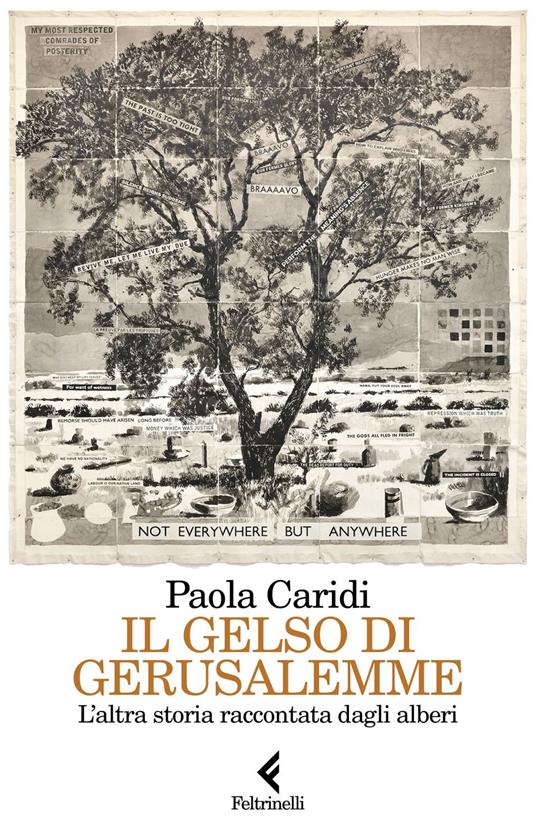 Il gelso di Gerusalemme. L'altra storia raccontata dagli alberi - Paola Caridi - ebook