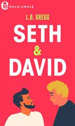 Seth & David. Amori a Smithfield. Vol. 3