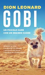 Gobi. Un piccolo cane con un grande cuore