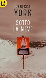 Sotto la neve. 43 Light Street. Vol. 8