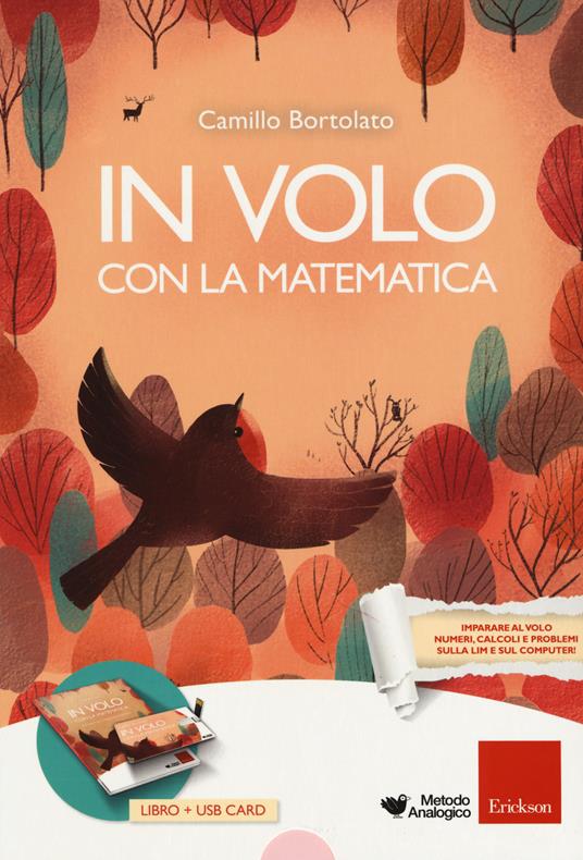 In volo con la matematica. Con USB Flash Drive - Camillo Bortolato - copertina