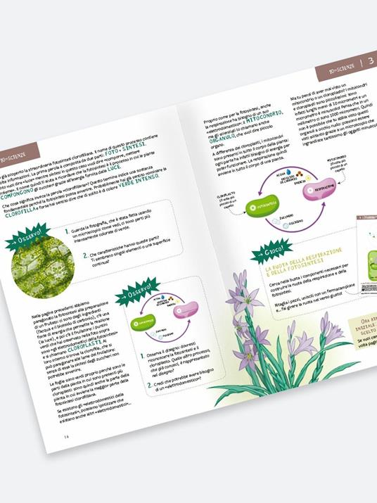 Le piante. 10 in scienze. Osservo, sperimento, gioco! Con Altro materiale cartografico - Giuliano Menghini - 2