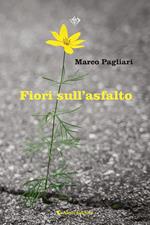 Fiori sull'asfalto