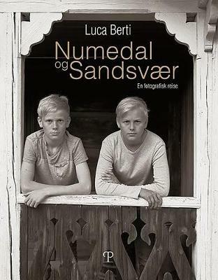 Numedal og Sandsvær. En fotografisk reise. Ediz. illustrata - Luca Berti - copertina