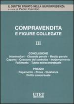 La compravendita e le figure collegate. Vol. 3: La conclusione della vendita-Il prezzo nella compravendita.