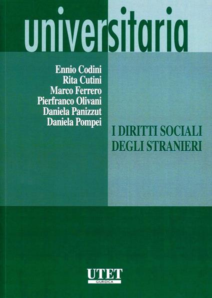 I diritti sociali degli stranieri - copertina