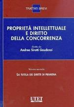 Proprietà intellettuale e diritto della concorrenza. Vol. 2: La tutela dei diritti di privativa
