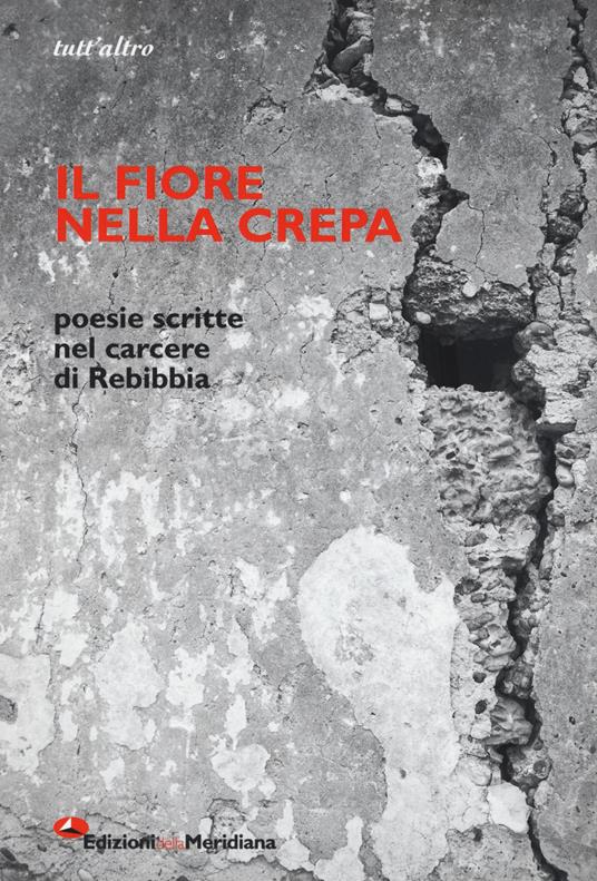 Il fiore nella crepa. Poesie scritte nel carcere di Rebibbia - copertina