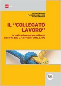 Il collegato lavoro. Le novità sul contenzioso del lavoro introdotte dalla L. 4 novembre 2010, n. 183 - Maurizio Ferrari,Vincenzo Ferrari,Flavio Vincenzo Ponte - copertina