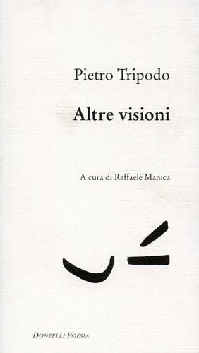 Altre visioni - Pietro Tripodo - 2