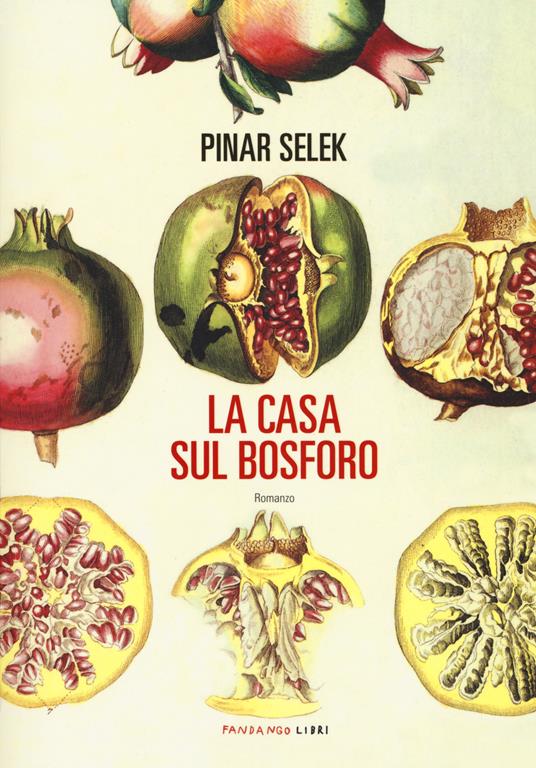 La casa sul Bosforo - Pinar Selek - copertina