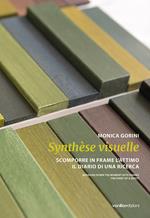 Monica Gorini. Synthèse visuelle. Scomporre in frame l’attimo Il diario di una ricerca. Ediz. italiana e inglese