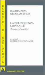 La delinquenza giovanile. Teorie ed analisi