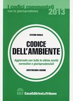 Codice dell'ambiente