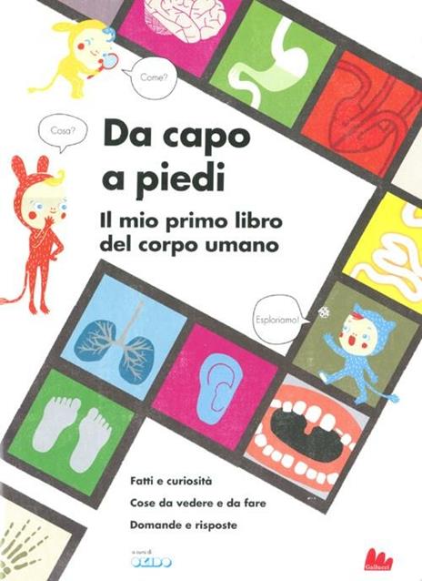 Da capo a piedi. Il mio primo libro del corpo umano. Fatti e curiosità. Cose da vedere e da fare. Domande e risposte. Ediz. illustrata - Sophie Dauvois - copertina