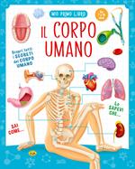 Il corpo umano