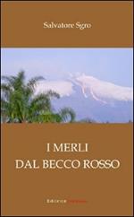 I merli dal becco rosso