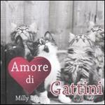 Amore di gattini