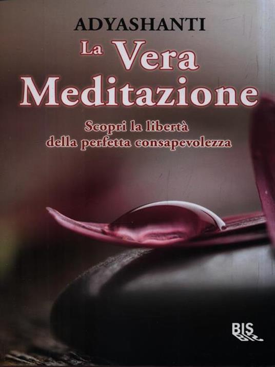 La vera meditazione. Scopri la libertà della perfetta consapevolezza - Adyashanti - 3