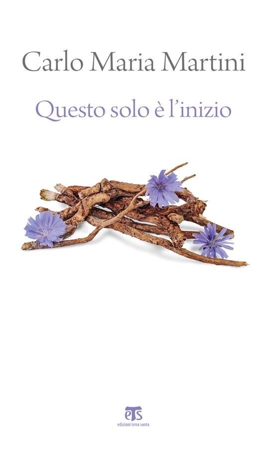 Questo solo è l'inizio. Dalla Terra Santa alla vita di ogni giorno - Carlo Maria Martini - ebook