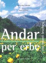 Andar per erbe sui monti lecchesi. Dove raccogliere e come gustare i germogli spontanei commestibili