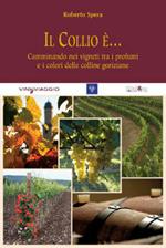 Il Collio è... Camminando nei vigneti tra i profumi e i colori delle colline goriziane