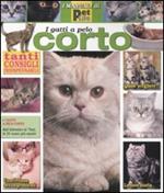 Gatto a pelo corto