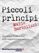 Piccoli principi. Notabilato locale e crisi della rappresentanza politica