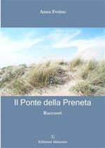 Il ponte della Preneta