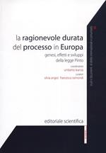 La ragionevole durata del processo in Europa. Genesi, effetti e sviluppi della legge Pinto