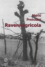 Ravennagricola