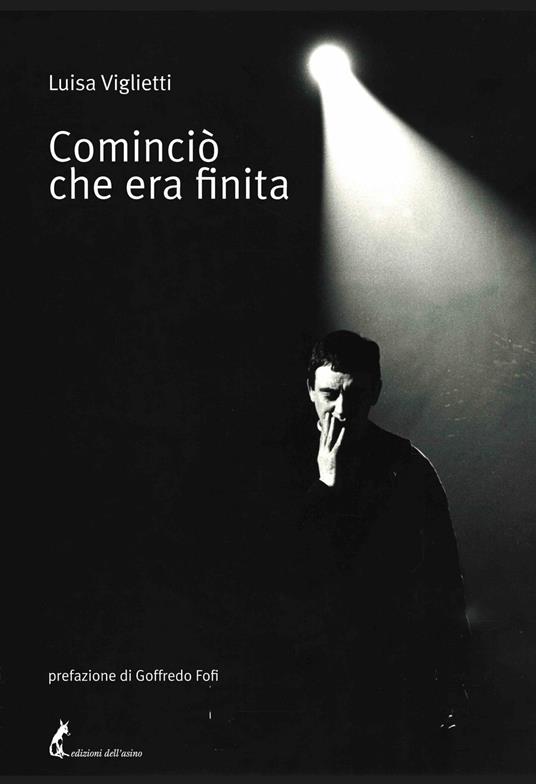 Cominciò che era finita - Luisa Viglietti - ebook