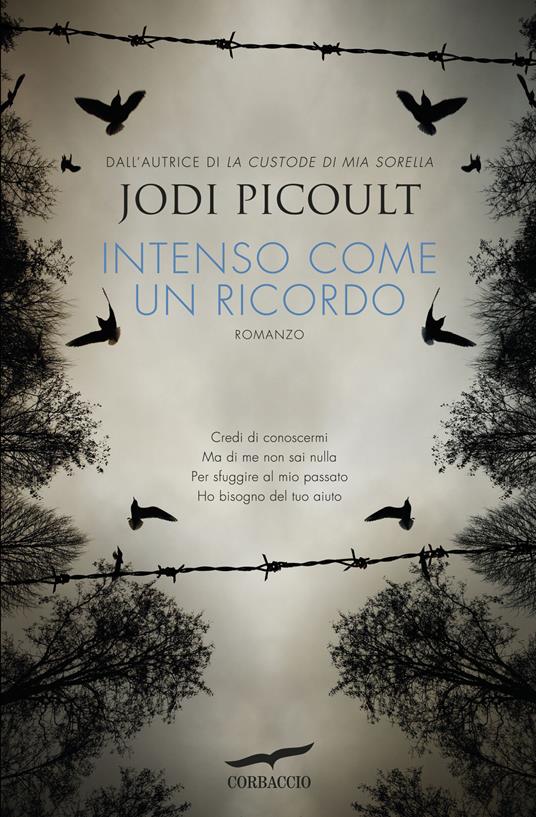 Intenso come un ricordo - Jodi Picoult - copertina