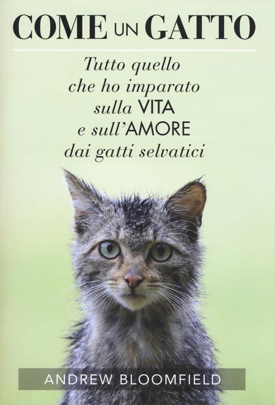 Come un gatto. Tutto quello che ho imparato sulla vita e sull'amore dai gatti selvatici - Andrew Bloomfield - copertina