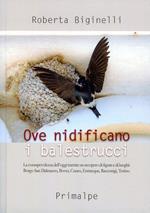 Ove nidificano i balestrucci. La consapevolezza dell'oggi tramite un recupero di figure e di luoghi: Borgo san Dalmazzo, Boves, Cuneo, Entracque, Racconigi, Torino