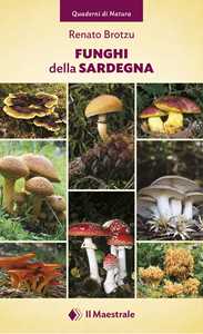  Funghi della Sardeg… - image