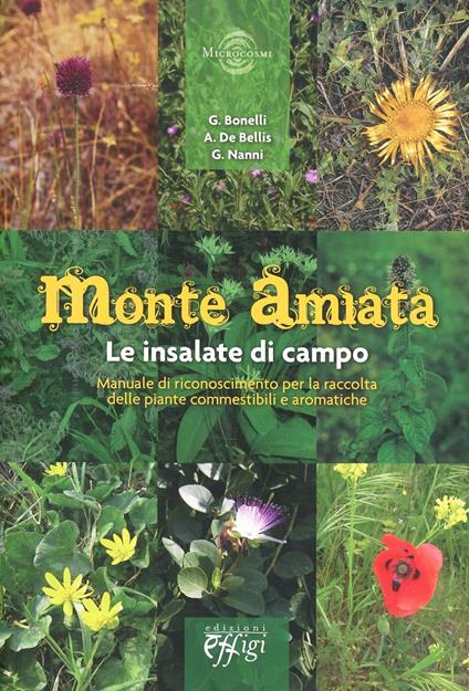 Monte Amiata. Le insalate di campo. Manuale di riconoscimento per la raccolta delle piante commestibili e aromatiche - G. Bonelli,A. De Bellis,G. Nanni - copertina