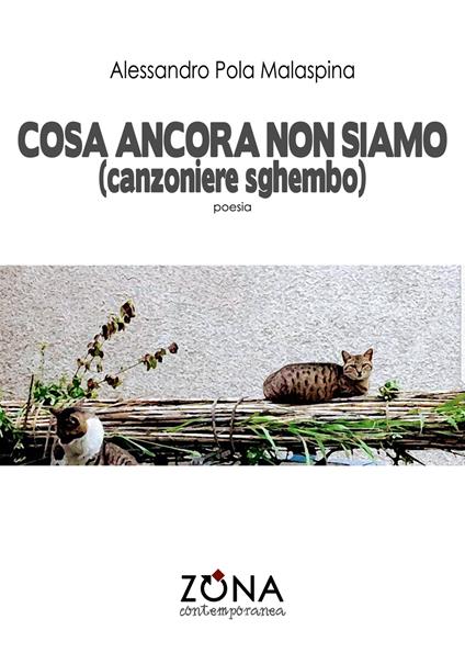 Cosa ancora non siamo (canzoniere sghembo) - Alessandro Pola Malaspina - copertina